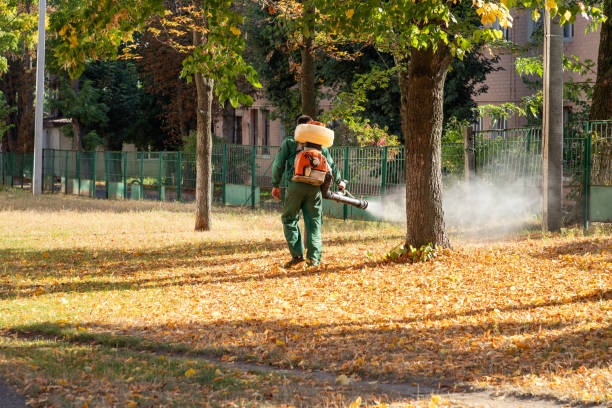 Best Mosquito Control Services  in Hazelwood, MO