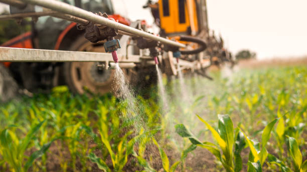 Best Best Pest Control Companies  in Hazelwood, MO
